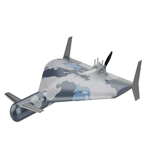 Fixed-wing UAV